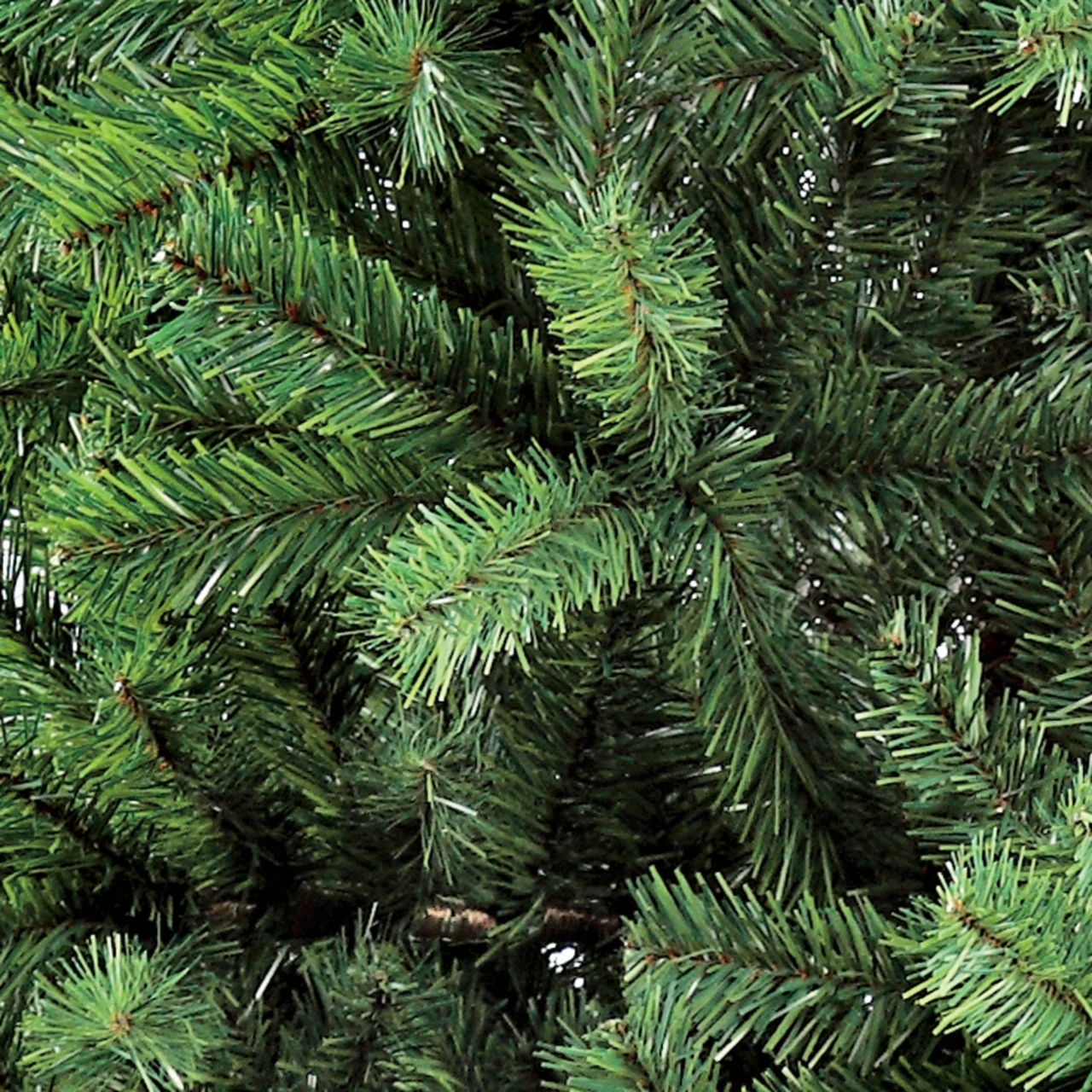 7.5’ X 54” Pre-Lit Full Northern Fir Artificial Christmas Tree - Clear Lights 5 7.5’ X 54” Pre-Lit Full Northern Fir Artificial Christmas Tree - Clear Lights - Image 3