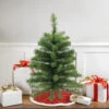 2' Medium Canadian Pine Artificial Christmas Tree - Unlit 1 2' Medium Canadian Pine Artificial Christmas Tree - Unlit -Christmas Decoration Store 3fjs0mjrrwdtwrjnf8fish7kxg2phaho 74138.1667575616