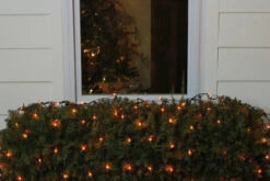 4' X 6' Orange Mini Incandescent Net Style Christmas Lights - Green Wire -Christmas Decoration Store 45jpjtwipxupidx0i3govygltioffsod 27760.1667489938