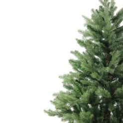 6' Mixed Eden Pine Artificial Christmas Tree - Unlit 10 6' Mixed Eden Pine Artificial Christmas Tree - Unlit -Christmas Decoration Store 54eicahwdcqetvofjhegr069k2lnllre 70797.1686702324