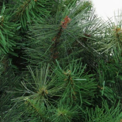 Canyon Pine Mixed Artificial Christmas Wreath, 48-Inch, Unlit 6 Canyon Pine Mixed Artificial Christmas Wreath, 48-Inch, Unlit -Christmas Decoration Store allstate ywc748 gr 2 04317.1678117733