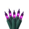 100-Count Purple Commercial Grade Mini Christmas Light Set, 45.5ft Green Wire 2 100-Count Purple Commercial Grade Mini Christmas Light Set, 45.5ft Green Wire -Christmas Decoration Store aoqu2uvwt9airyp9didfky5989k8ls1w 83113.1667664490