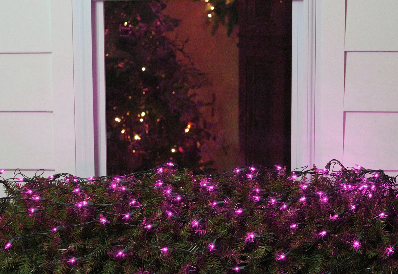 4' X 6' Purple Incandescent Mini Net Style Christmas Lights - Green Wire 4 4' X 6' Purple Incandescent Mini Net Style Christmas Lights - Green Wire - Image 2