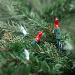 100-Count Red And White LED Mini Christmas Lights Set, 33 Ft Green Wire 7 100-Count Red And White LED Mini Christmas Lights Set, 33 Ft Green Wire -Christmas Decoration Store britestar 39 591 00 1 54199.1667488351