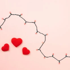 50 Red LED Mini Christmas Lights - 16.25 Ft Green Wire 7 50 Red LED Mini Christmas Lights - 16.25 Ft Green Wire -Christmas Decoration Store britestar 39 591 00 1 70673.1667575628