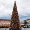 24' Giant Pre-Lit Everest Fir Commercial Christmas Tower Tree - Warm White C7 LED Lights 1 24' Giant Pre-Lit Everest Fir Commercial Christmas Tower Tree - Warm White C7 LED Lights -Christmas Decoration Store cc20k4373 18t20clear 1 83213.1680153247