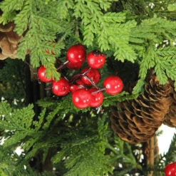 5' Slim Mixed Cedar Pine Entryway Artificial Christmas Tree - Unlit 7 5' Slim Mixed Cedar Pine Entryway Artificial Christmas Tree - Unlit -Christmas Decoration Store cfyznzqotrg1zrz5gl3npctgqlvsivne 11957.1667578546