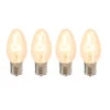 Set Of 4 Cleveland Vintage Lighting Edison Style E12 Base Nightlight Bulbs 1 Set Of 4 Cleveland Vintage Lighting Edison Style E12 Base Nightlight Bulbs -Christmas Decoration Store clv110 2 42068.1667662877