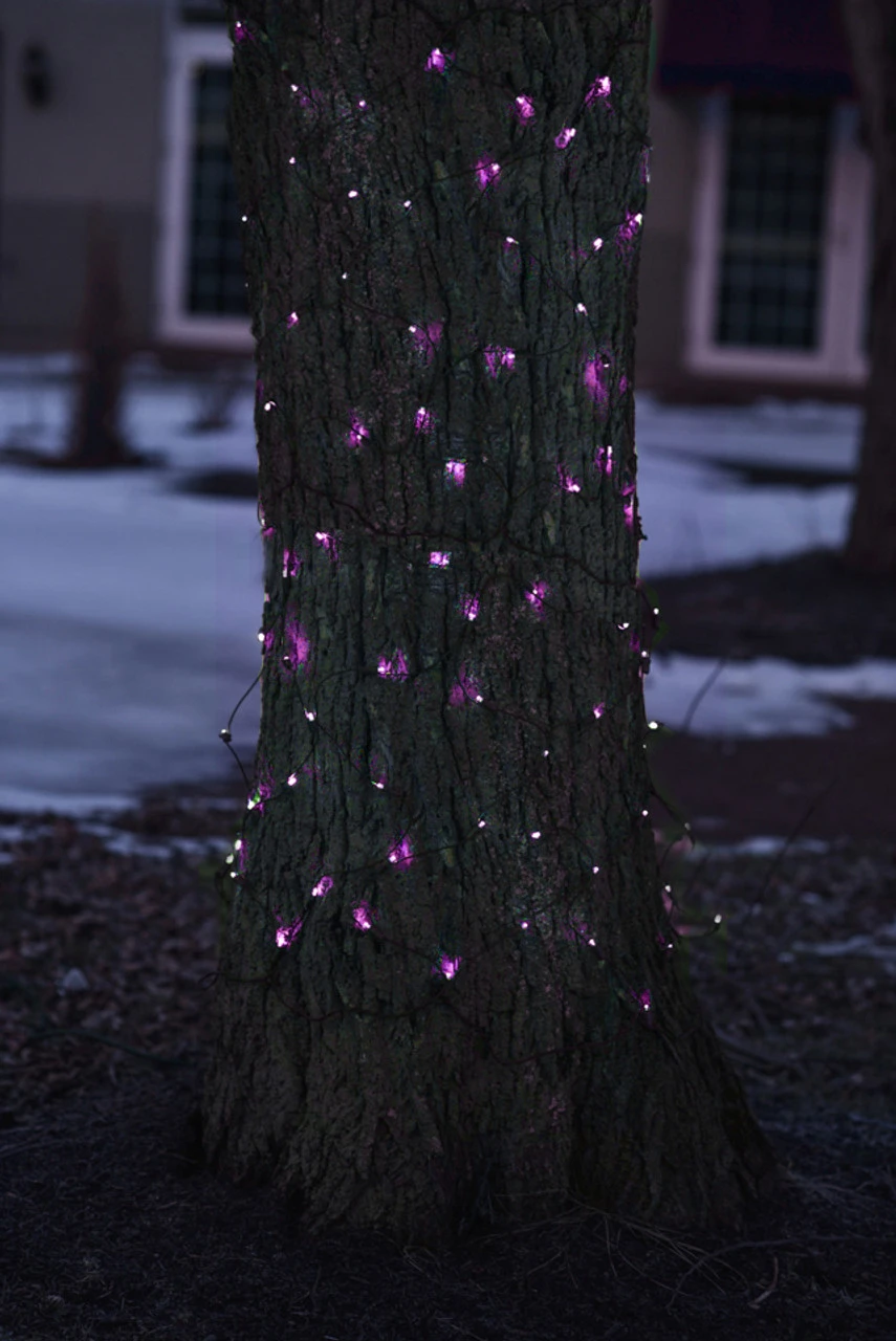 2' X 8' Purple Mini Tree Trunk Wrap Christmas Net Lights - Brown Wire 4 2' X 8' Purple Mini Tree Trunk Wrap Christmas Net Lights - Brown Wire - Image 2