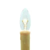 Pack Of 6 Clear Candle Lamp C7 LED Replacement Bulbs 1 Pack Of 6 Clear Candle Lamp C7 LED Replacement Bulbs -Christmas Decoration Store dghh20p 1232 6r 1 86157.1682081368