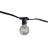 28-Count Clear Edison Bulb Light Set, 29ft Black Wire 1 28-Count Clear Edison Bulb Light Set, 29ft Black Wire -Christmas Decoration Store dhine 37501 25 1 29695.1667646222