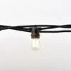 12-Count Clear Edison Bulb Light Set, 21ft Black Wire 2 12-Count Clear Edison Bulb Light Set, 21ft Black Wire -Christmas Decoration Store dhine 37502 10 1 89448.1667646222