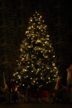 65.25' Multi-Function Timed Pattern String Lights - 200 RGB LED With Remote 15 65.25' Multi-Function Timed Pattern String Lights - 200 RGB LED With Remote -Christmas Decoration Store dhine 37511 200 6 49706.1667513635