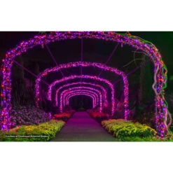 50 Purple LED Wide Angle Christmas String Lights - 25.17 Ft Black Wire 7 50 Purple LED Wide Angle Christmas String Lights - 25.17 Ft Black Wire -Christmas Decoration Store dlig 1101384 2 20565.1667536636