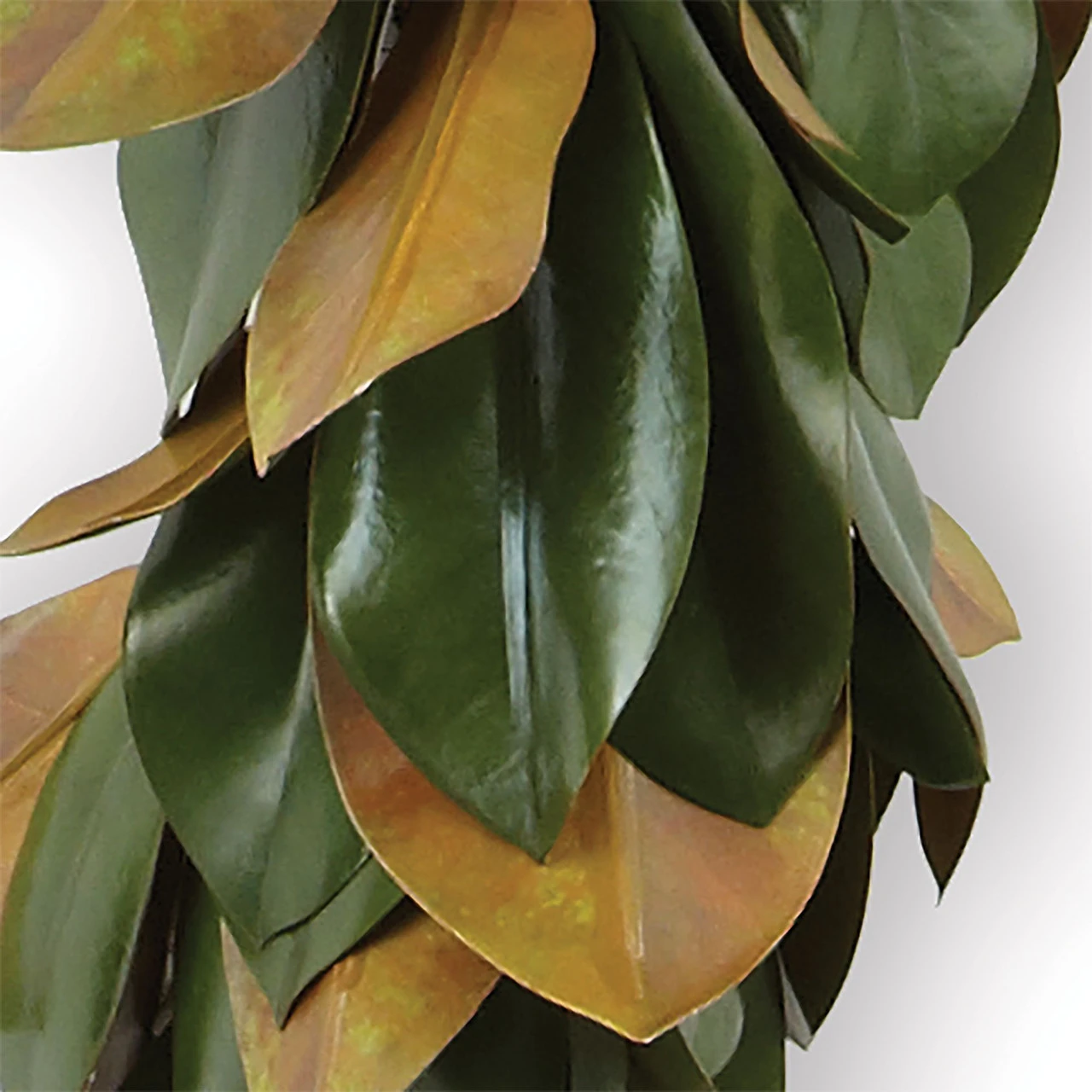 6' X 5" Green And Yellow Magnolia Artificial Leaf Garland - Unlit 6 6' X 5" Green And Yellow Magnolia Artificial Leaf Garland - Unlit - Image 4