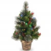 2’ X 14” Pre-Lit Crestwood Spruce Artificial Christmas Tree – Multi-Color LED Lights 1 2’ X 14” Pre-Lit Crestwood Spruce Artificial Christmas Tree – Multi-Color LED Lights -Christmas Decoration Store dnat20cw7 334m 20 04548.1667658651