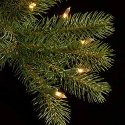 4.5’ Pre-Lit Downswept Douglas Fir Artificial Christmas Tree - Clear Lights 10 4.5’ Pre-Lit Downswept Douglas Fir Artificial Christmas Tree - Clear Lights -Christmas Decoration Store dnat20pedd1 312 45 3 11924.1667536002