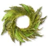 Fern Artificial Wreath - 35-Inch, Unlit -Christmas Decoration Store dnat20qfrn8 10 35w 20066.1667494755