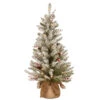 3' Pre-Lit Dunhill Fir Artificial Christmas Tree - Warm White LED Lights 2 3' Pre-Lit Dunhill Fir Artificial Christmas Tree - Warm White LED Lights -Christmas Decoration Store dnat duf 300 30 b1 77838.1667531766