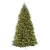10’ Pre-Lit Dunhill Fir Artificial Christmas Tree - Clear Lights 1 10’ Pre-Lit Dunhill Fir Artificial Christmas Tree - Clear Lights -Christmas Decoration Store dnat duh 100lo s 1 23413.1667656550
