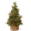 18" Medium Miniature Pine Burlap Base Artificial Christmas Tree - Unlit 1 18" Medium Miniature Pine Burlap Base Artificial Christmas Tree - Unlit -Christmas Decoration Store dnat ed7 703 18 1 1 71651.1667569307