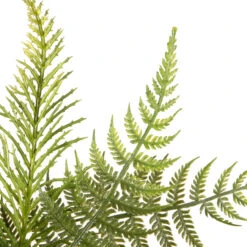 22" Garden Accents Cosmo Artificial Wreath 11 22" Garden Accents Cosmo Artificial Wreath -Christmas Decoration Store dnat gabf30 22wg 5 31717.1667640158