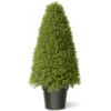 36" Green Artificial Boxwood Topiary Tree With Weighted Pot 1 36" Green Artificial Boxwood Topiary Tree With Weighted Pot -Christmas Decoration Store dnat lbx4 36 01 17029.1667533504