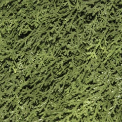 27" Upright Juniper Ball Topiary Tree In Urn - Unlit -Christmas Decoration Store dnat lcy4 704 27 3 32463.1667643292