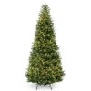 10’ Pre-Lit Natural Fraser Medium Fir Artificial Christmas Tree - Clear Lights 1 10’ Pre-Lit Natural Fraser Medium Fir Artificial Christmas Tree - Clear Lights -Christmas Decoration Store dnat naffslh1 100lo 1 45895.1667578051