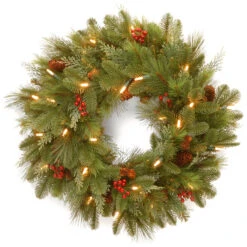 Pre-Lit Noelle Artificial Christmas Wreath - 24-Inch, Soft White LED Battery Operated Lights