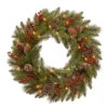 30" Pre-Lit Bristle Berry Battery Operated Artificial Christmas Wreath - Warm White LED Lights -Christmas Decoration Store dnat pebb3 300 24wb1 1 80787.1667570725