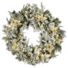 Pre-Lit Frosted Colonial Fir Artificial Christmas Wreath, 30-Inch, LED Cosmic Lights 2 Pre-Lit Frosted Colonial Fir Artificial Christmas Wreath, 30-Inch, LED Cosmic Lights -Christmas Decoration Store dnat peco8 362dk 30w 65566.1667549454