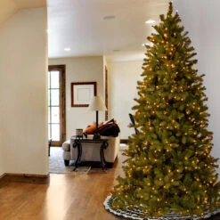 7.5' Pre-Lit Douglas Fir Artificial Christmas Tree - Clear Lights 9 7.5' Pre-Lit Douglas Fir Artificial Christmas Tree - Clear Lights -Christmas Decoration Store dnat pedd1 323 75 4 46777.1667663605