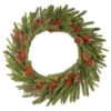 24" Pre-Lit Dorchester Fir Battery Operated Artificial Christmas Wreath - Warm White Lights