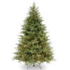 6.5’ Pre-Lit Frasier Grande Artificial Christmas Tree - Clear Lights 1 6.5’ Pre-Lit Frasier Grande Artificial Christmas Tree - Clear Lights -Christmas Decoration Store dnat pefg3 308 65 1 24277.1667574610