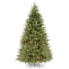 9’ Pre-Lit Frasier Grande Artificial Christmas Tree - Clear Lights 1 9’ Pre-Lit Frasier Grande Artificial Christmas Tree - Clear Lights -Christmas Decoration Store dnat pefg3 308 90 1 62430.1667576112