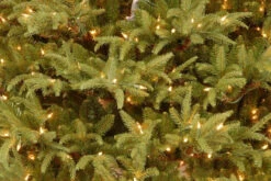 6 Ft. Frasier Grande Tree With Dual Color LED Lights 12 6 Ft. Frasier Grande Tree With Dual Color LED Lights -Christmas Decoration Store dnat pefg4 330ld 60 5 57646.1667641599