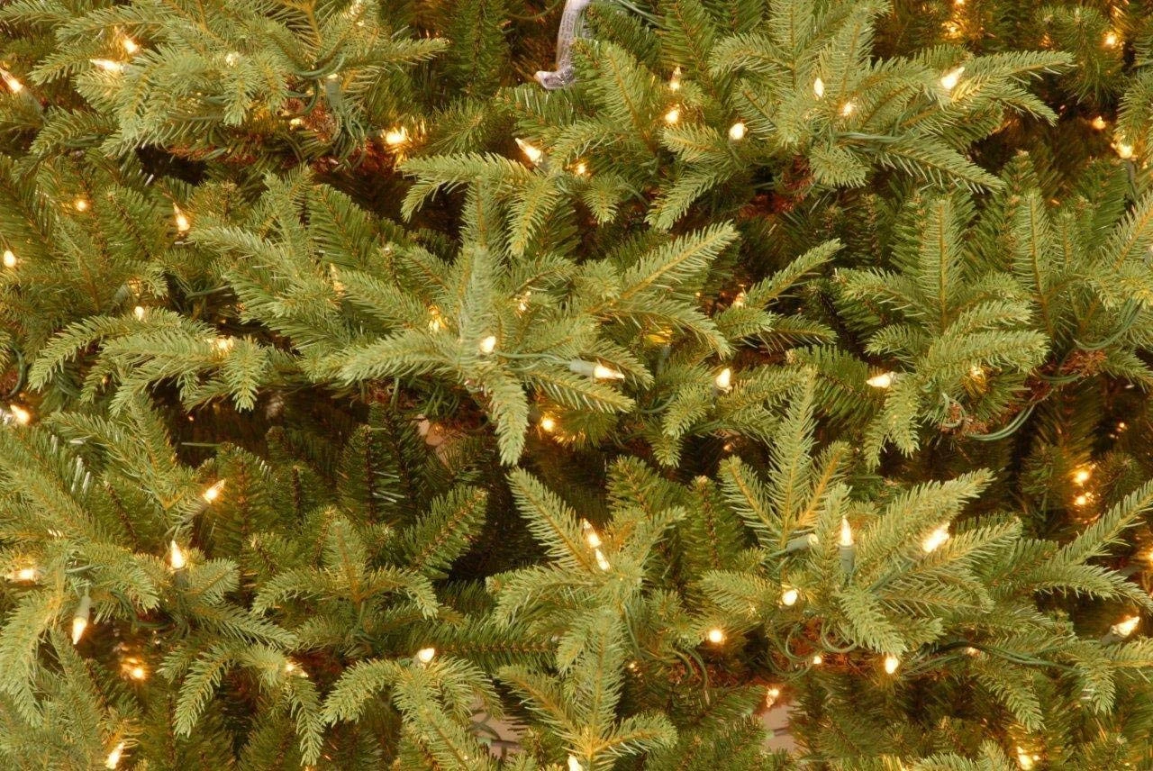 6 Ft. Frasier Grande Tree With Dual Color LED Lights 7 6 Ft. Frasier Grande Tree With Dual Color LED Lights - Image 5