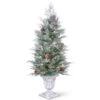 4' Pre-lit Potted Frosted Spruce Entrance Artificial Christmas Tree – Clear Lights 1 4' Pre-lit Potted Frosted Spruce Entrance Artificial Christmas Tree – Clear Lights -Christmas Decoration Store dnat pefm3 306 40 1 82459.1667578068
