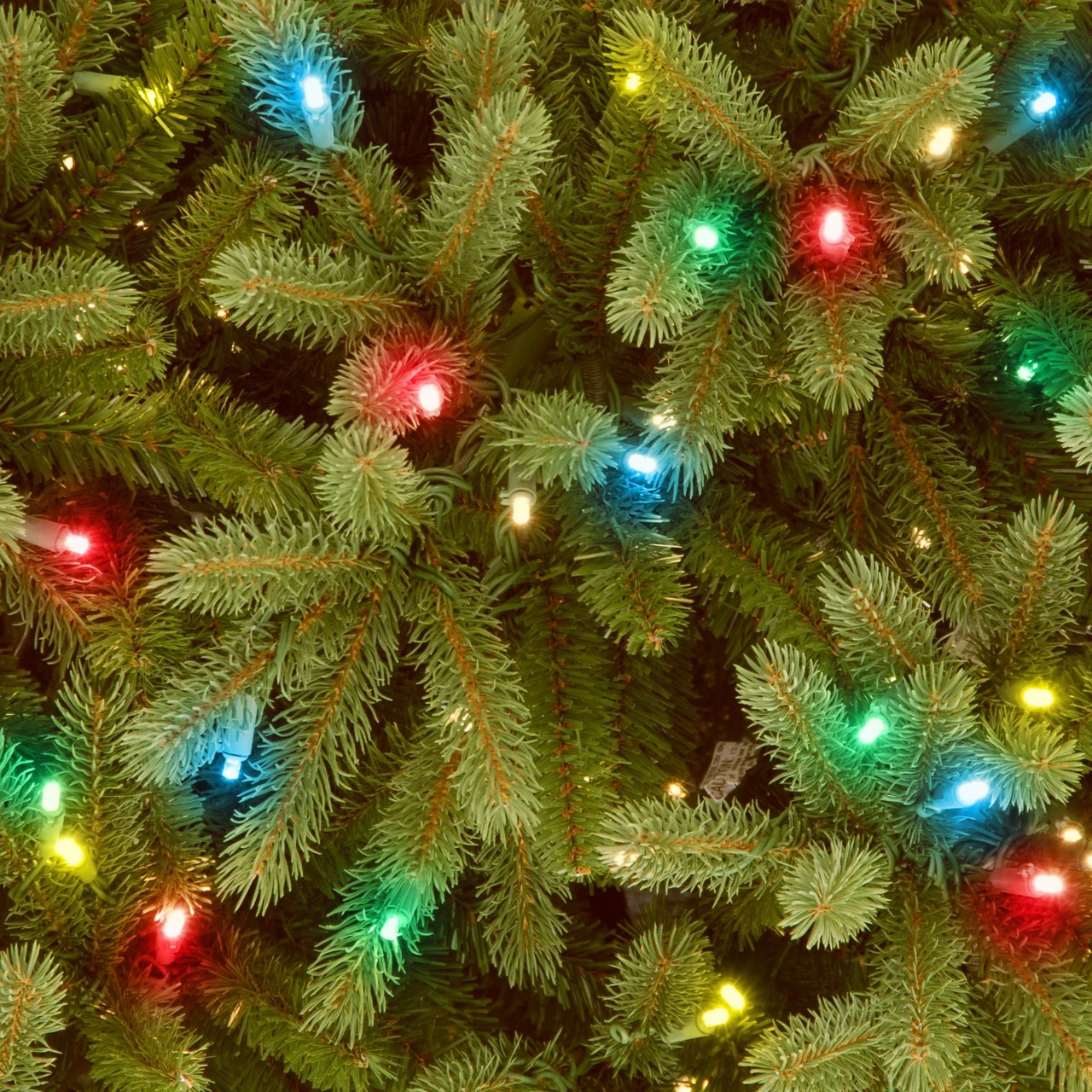6.5’ Pre-Lit Jersey Fraser Fir Artificial Christmas Tree - Multi-Color Lights 5 6.5’ Pre-Lit Jersey Fraser Fir Artificial Christmas Tree - Multi-Color Lights - Image 3