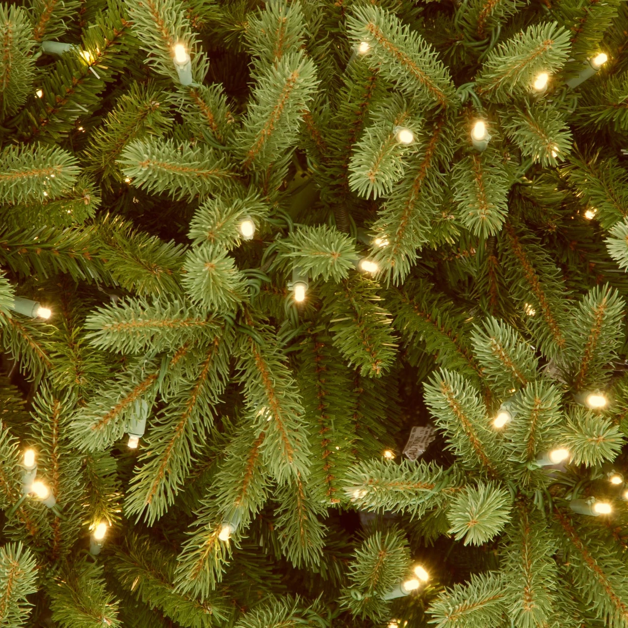6.5’ Pre-Lit Jersey Fraser Fir Medium Artificial Christmas Tree – Clear Lights 5 6.5’ Pre-Lit Jersey Fraser Fir Medium Artificial Christmas Tree – Clear Lights - Image 3