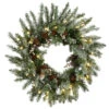 Pre-Lit Snowy Morgan Spruce Artificial Christmas Wreath, 24-Inch, Warm White LED Lights 1 Pre-Lit Snowy Morgan Spruce Artificial Christmas Wreath, 24-Inch, Warm White LED Lights -Christmas Decoration Store dnat pemg3 31424wbc1 69217.1667517769