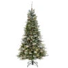 6.5' Pre-Lit Slim Snowy Morgan Spruce Artificial Christmas Tree, Clear Lights 2 6.5' Pre-Lit Slim Snowy Morgan Spruce Artificial Christmas Tree, Clear Lights -Christmas Decoration Store dnat pemg3 317 65 11649.1667535632