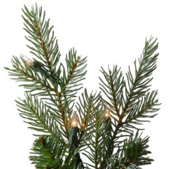 7.5’ Pre-Lit Nordic Spruce Artificial Christmas Tree – Clear Lights 9 7.5’ Pre-Lit Nordic Spruce Artificial Christmas Tree – Clear Lights -Christmas Decoration Store dnat pens1 321 75 4 64229.1667531301