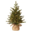 2' Pre-Lit Potted Nordic Spruce Full Artificial Christmas Tree – Clear Lights 2 2' Pre-Lit Potted Nordic Spruce Full Artificial Christmas Tree – Clear Lights -Christmas Decoration Store dnat pens1 333 20 1 1 82604.1667574291