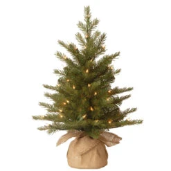 2' Pre-Lit Potted Nordic Spruce Full Artificial Christmas Tree – Clear Lights