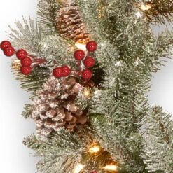 24" Pre-Lit Snowy Bristle Berry Artificial Christmas Wreath - Warm White LED Lights/BO 7 24" Pre-Lit Snowy Bristle Berry Artificial Christmas Wreath - Warm White LED Lights/BO -Christmas Decoration Store dnat pesb3 300 24wbr 3 74178.1667536238