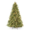 7.5’ Pre-Lit Tiffany Fir Artificial Christmas Tree – Clear Lights 1 7.5’ Pre-Lit Tiffany Fir Artificial Christmas Tree – Clear Lights -Christmas Decoration Store dnat petf3 300 75 49001.1667658046