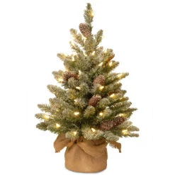 2' Pre-lit Potted Battery Operated Snowy Concolor Fir Artificial Christmas Tree - Warm White LED Lights