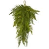Set Of 2 Artificial Fern Teardrop Christmas Swag, 28-Inch, Unlit 1 Set Of 2 Artificial Fern Teardrop Christmas Swag, 28-Inch, Unlit -Christmas Decoration Store dnnl204322 s2 1 52262.1688110076